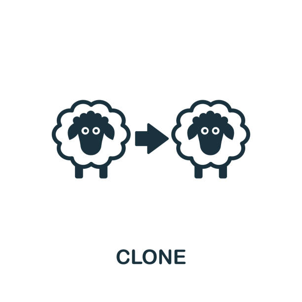 How to Clone Your Best Recruiters